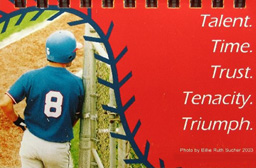 Baseball for Life Calendar - Back
